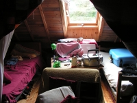 sparrow-room